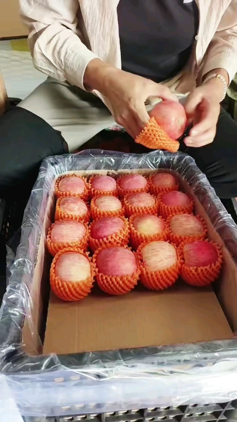 【推荐】精品红富士苹果口感脆甜果面干净山东产地供应