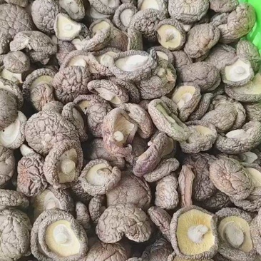 干香菇，河北平泉，货量大，价格优，视频看货，欢迎咨询