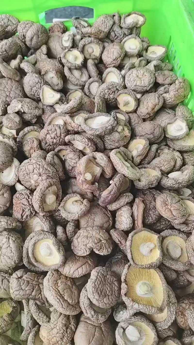 干香菇，河北平泉，货量大，价格优，视频看货，欢迎咨询
