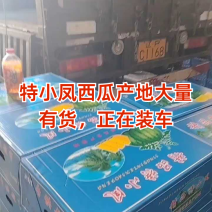 电商，社区团，特小凤西瓜，万亩大棚，产地直发全国，黑籽，