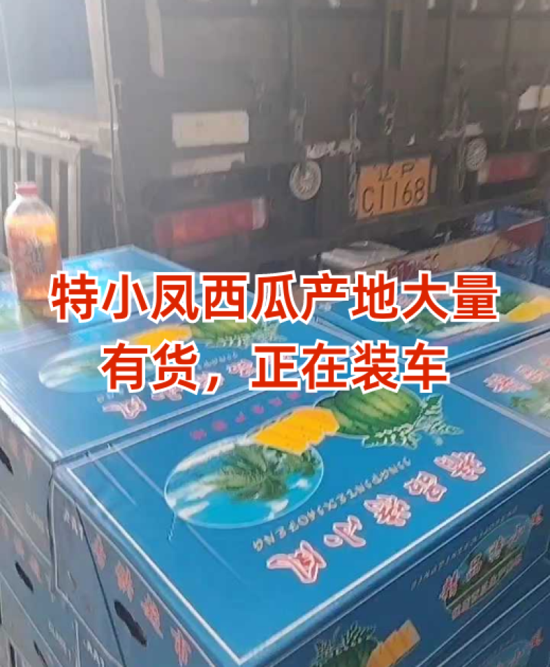 电商，社区团，特小凤西瓜，万亩大棚，产地直发全国，黑籽，