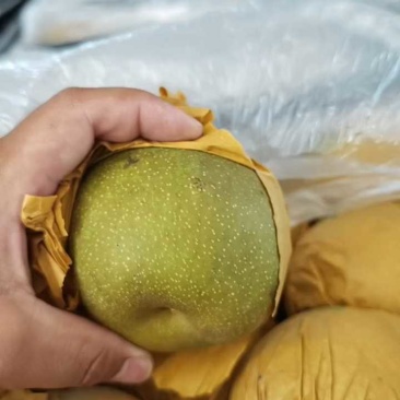 翠冠梨，翠玉梨，产地直发，价格优惠，品质保证