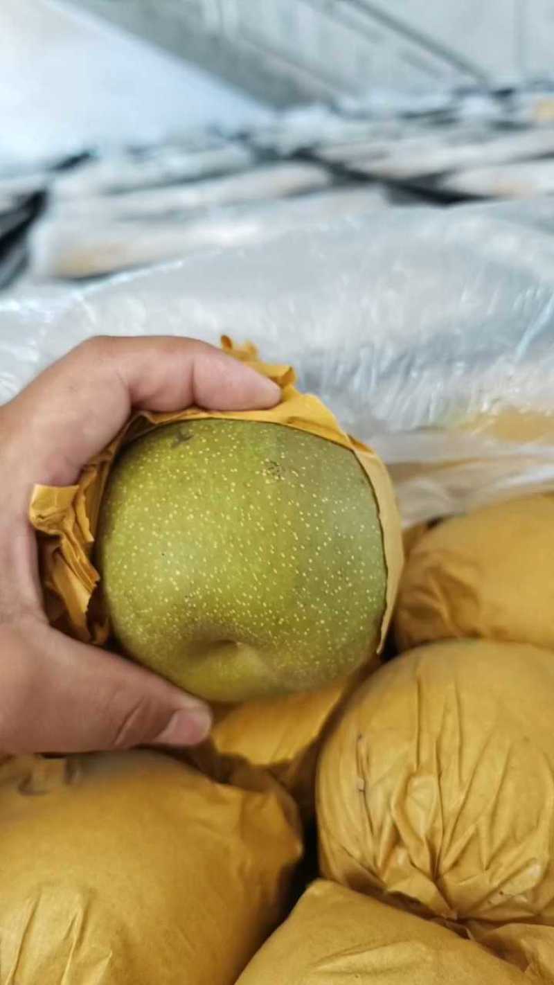 翠冠梨，翠玉梨，产地直发，价格优惠，品质保证