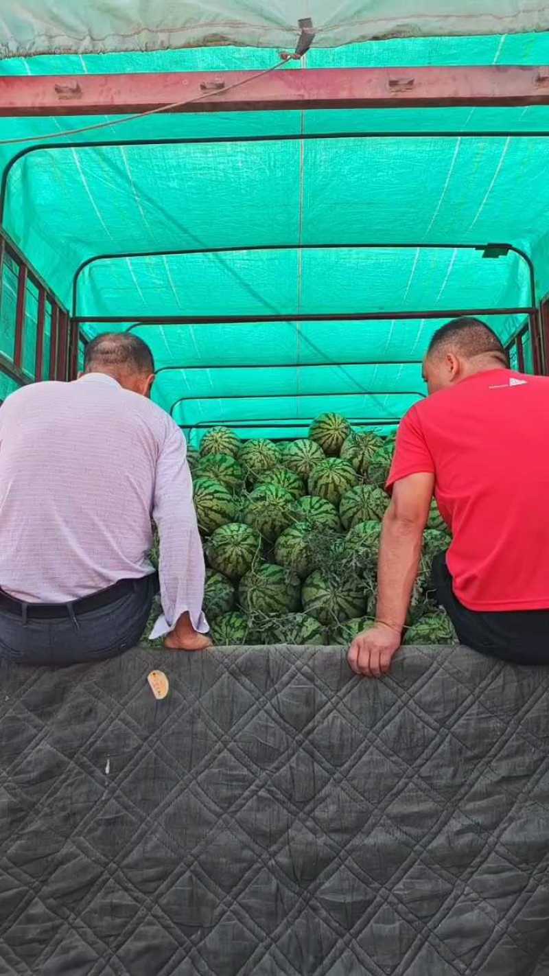 /think马陆行情加两毛，联系老板