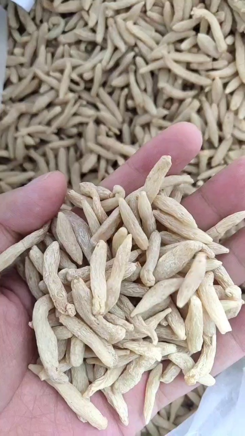 2斤包邮川麦冬/涪城麦冬/当天发货不熏硫