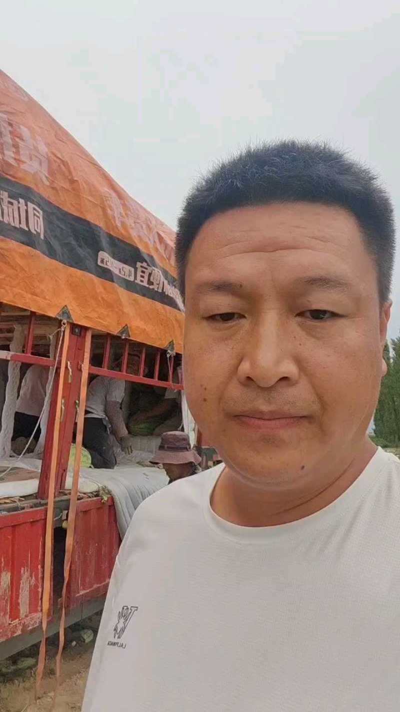 新疆昌吉精品甜王西瓜产地直发量大从优货源充足