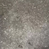 稻壳鸡粪
