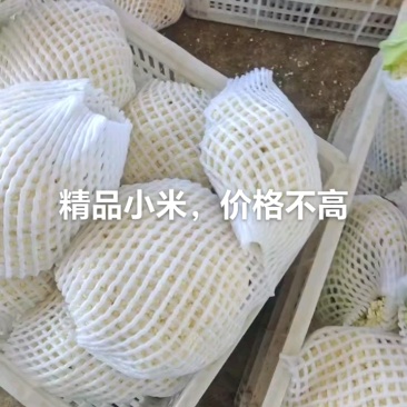 净菜特别白，质量都挺好。