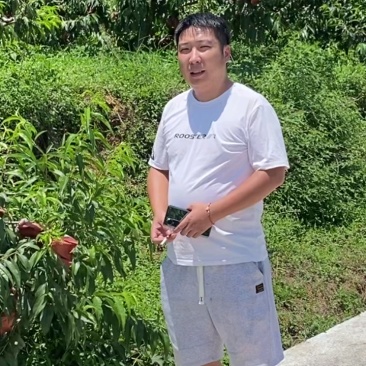 精品锦绣黄桃。四川雅安高山基地直供，口感脆甜。表皮光洁