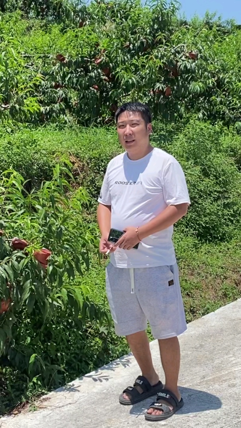 精品锦绣黄桃。四川雅安高山基地直供，口感脆甜。表皮光洁