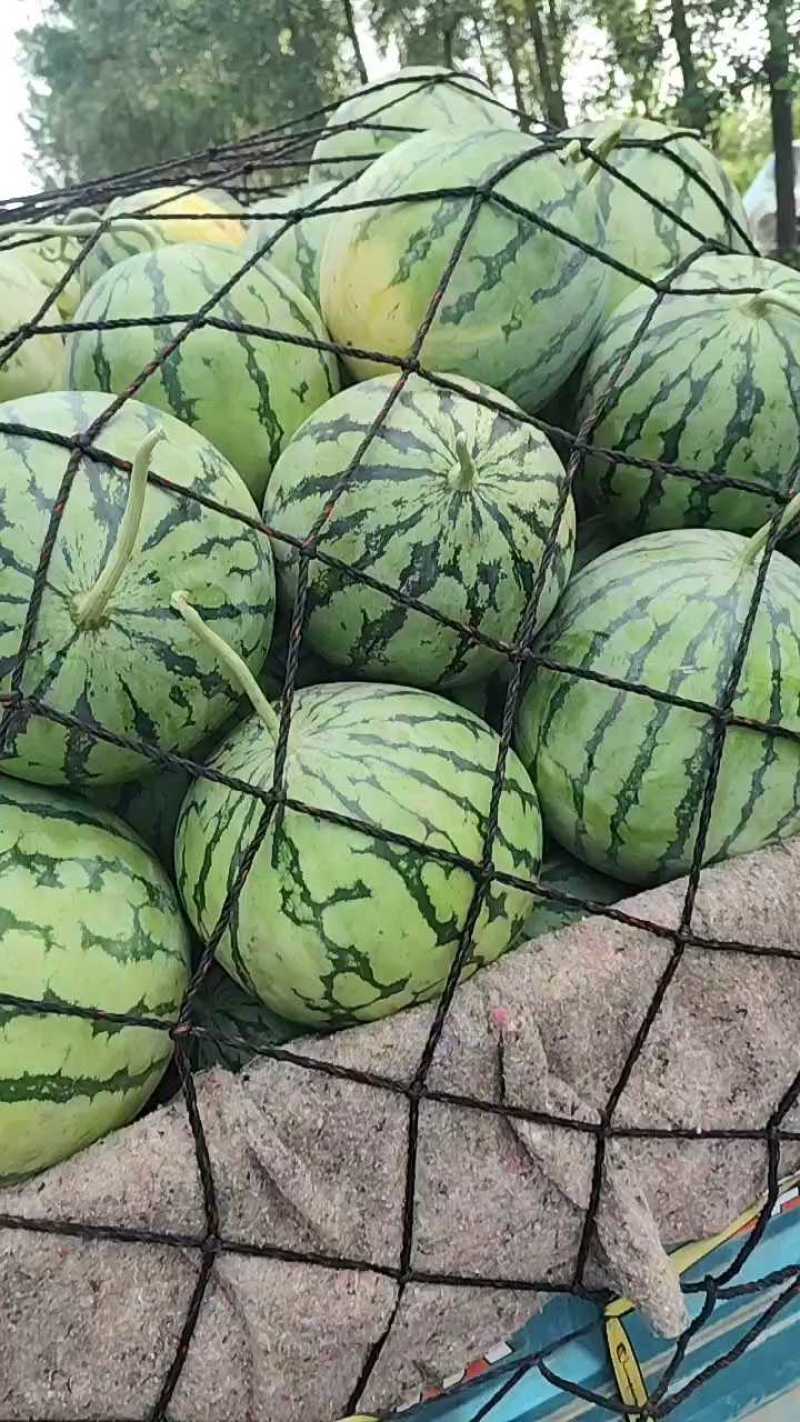 京欣西瓜，玉麒麟西瓜，品质好，皮毛靓，口感好。货发全国