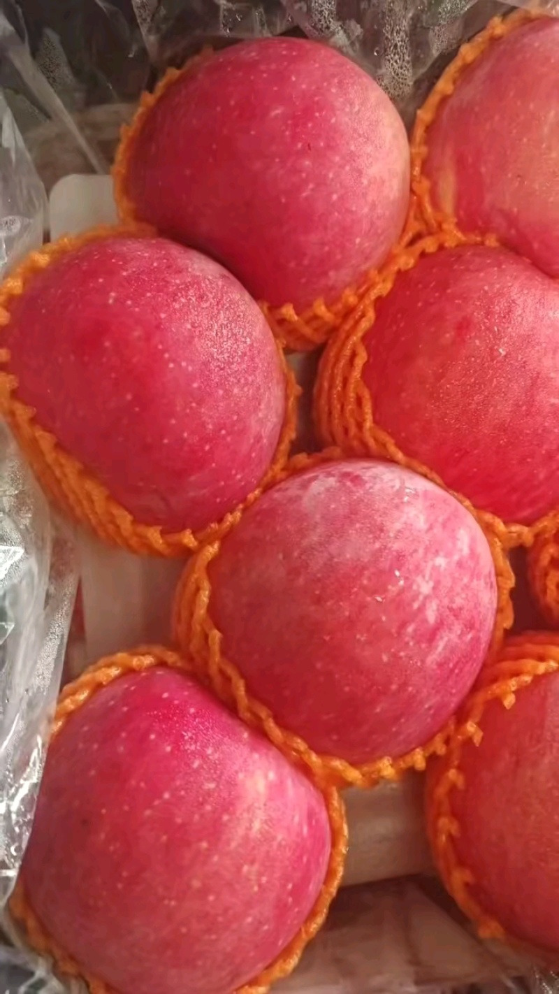 红富士苹果条纹～偏红大量现货～口感脆甜～品质保证