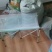 野生艾叶手选艾叶头茬端午节前后采摘3年陈艾叶大艾叶