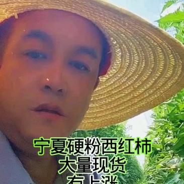 宁夏硬粉西红柿，三层果，5毛6毛