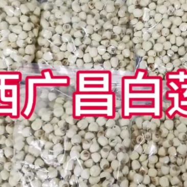 06年江西广昌白莲子，手工脱皮，环保，一煮就烂。