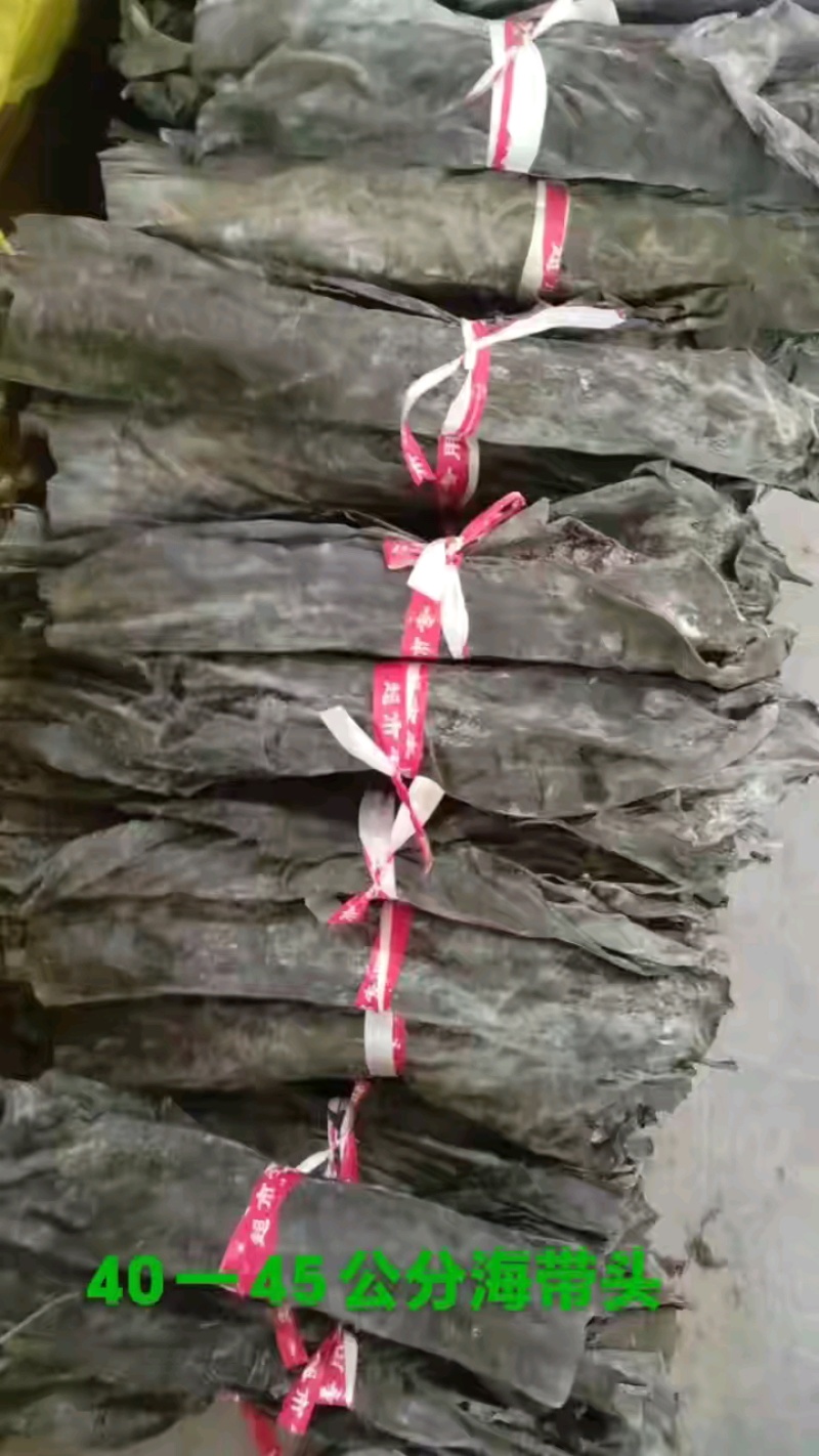 35至40公分海带头，商超品质