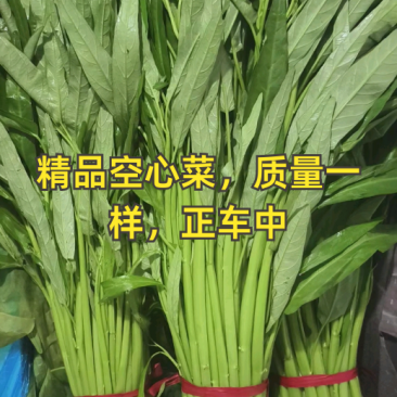 空心菜一斤左右一把