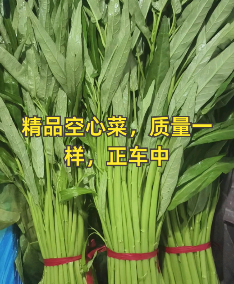 空心菜一斤左右一把