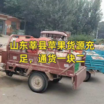 山东莘县嘎啦苹果，货源充足，一块起