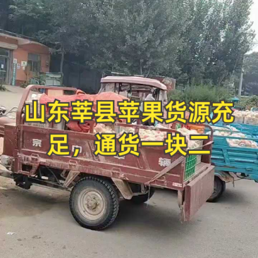 山东莘县嘎啦苹果，货源充足，一块起