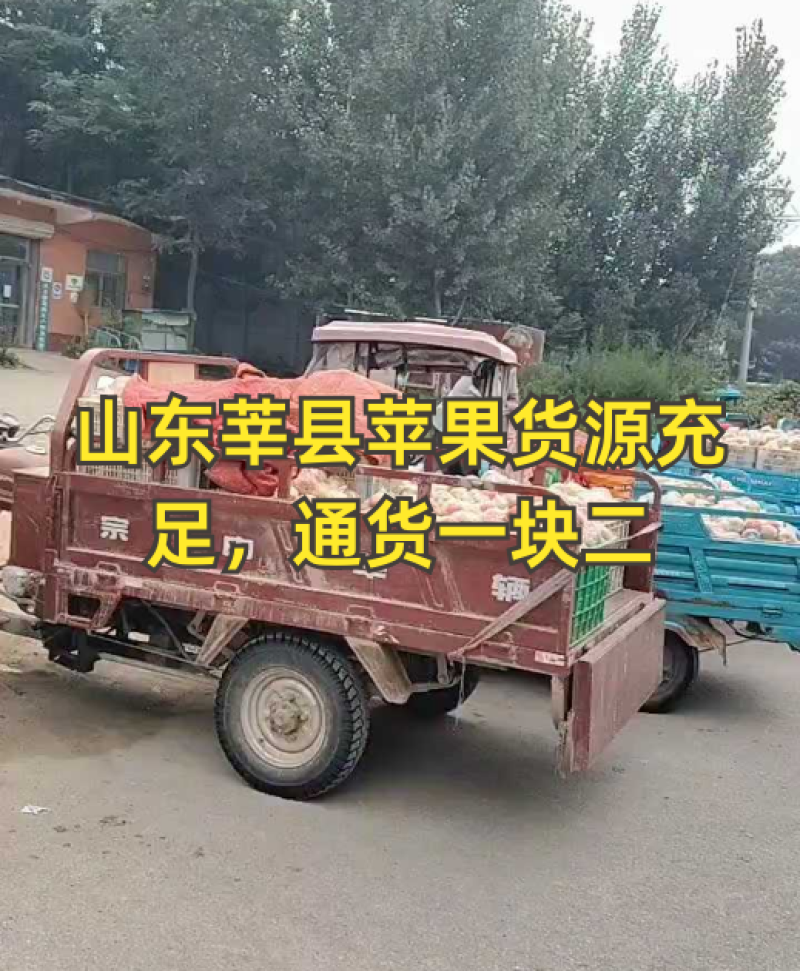 山东莘县嘎啦苹果，货源充足，一块起