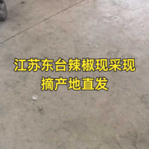 急售：鲜辣椒/辣椒/青椒/301辣椒/东台辣椒/东台青椒