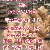 大黄姜，小黄姜产地，代收代发全国，常年供应随时有货