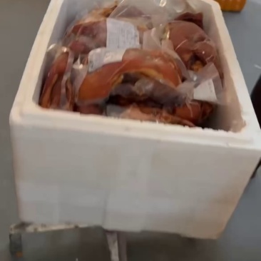 熟食猪肉卤拱嘴卤小肚猪尾巴卤口条卤寸排单件20斤