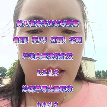 美八苹果产地，大量供应，果园现摘全天有货口感脆甜量大从优