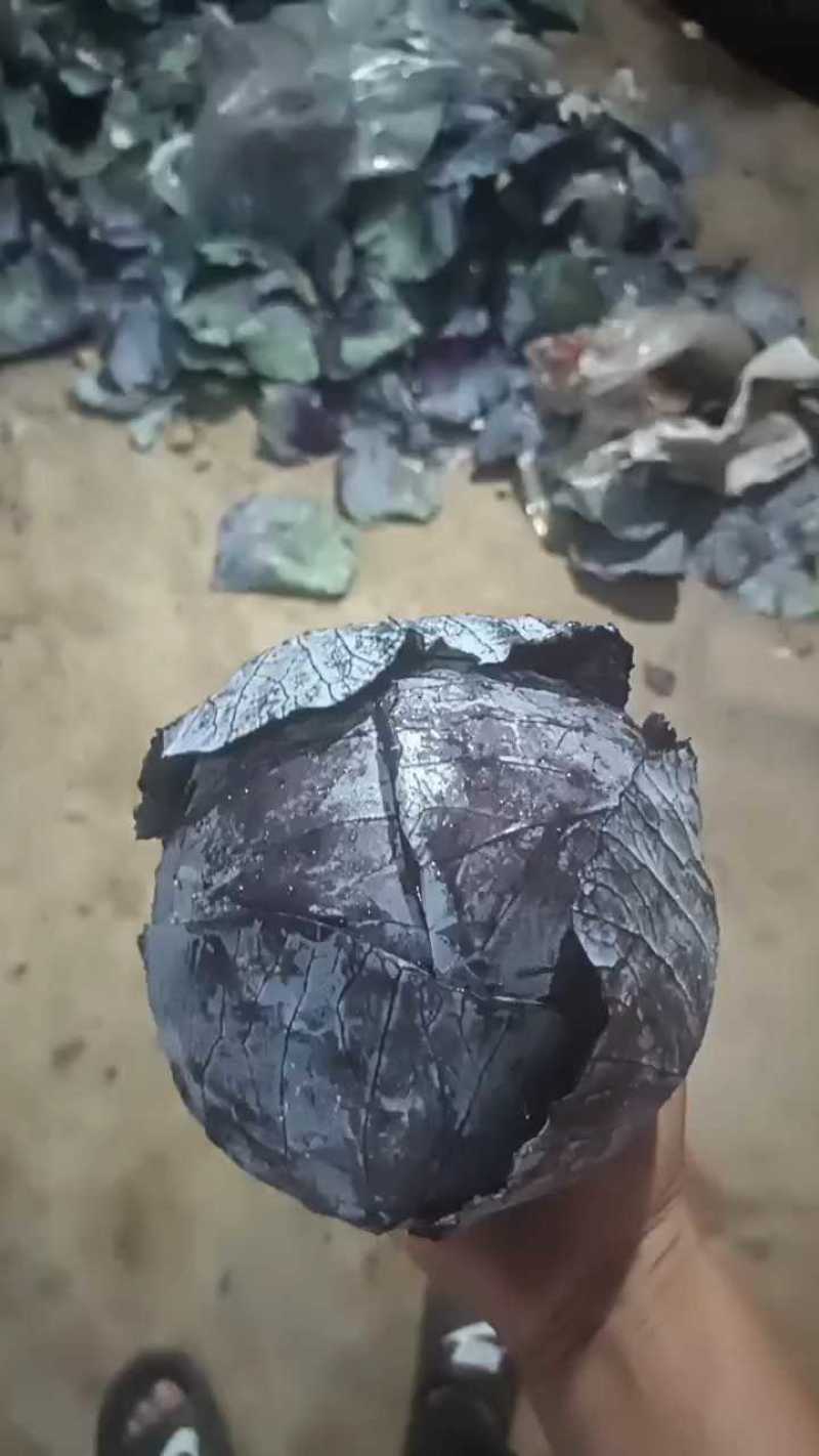 今天紫甘蓝出库，个头真好