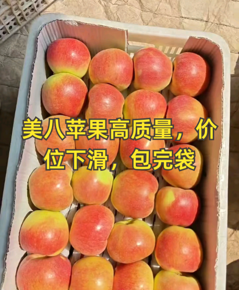 河北乐亭精品美八苹果，产地直供！大量有货！