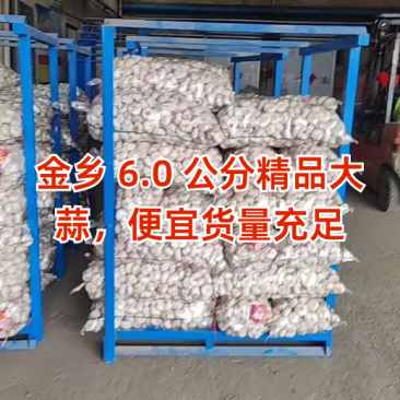 金乡大蒜一手货源支持各种包装商超团购外贸代发全国