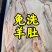 羔羊生净肚大量出货，免洗干净价格低