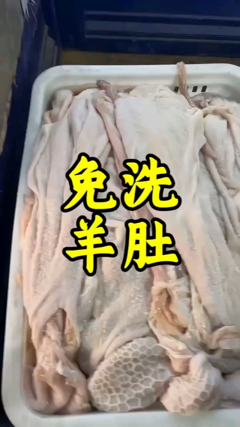 羔羊生净肚大量出货，免洗干净价格低