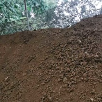 精品鸡粪有机肥，干鸡粪品质保证量大从优欢迎致电咨