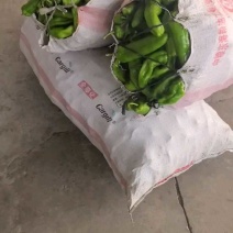 急售：鲜辣椒/辣椒/青椒/301辣椒/东台辣椒/东台青椒