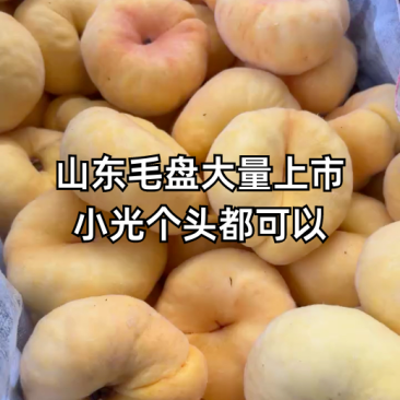 黄金蟠桃7-7号油蟠5号油蟠9号基地一手货源全国发货