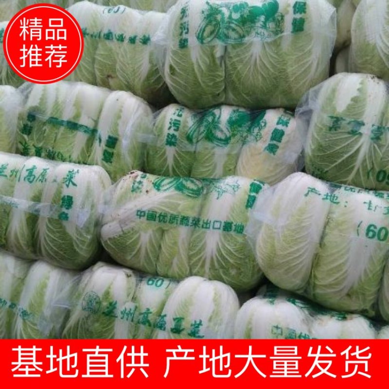 黄心菜白菜净菜4~6斤
