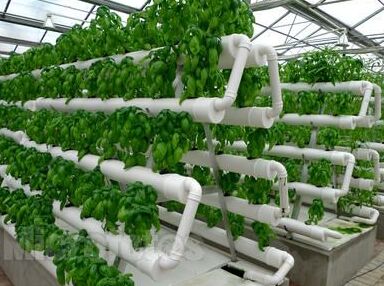 一亩田农业资讯网-现代农业发展的三大趋势性