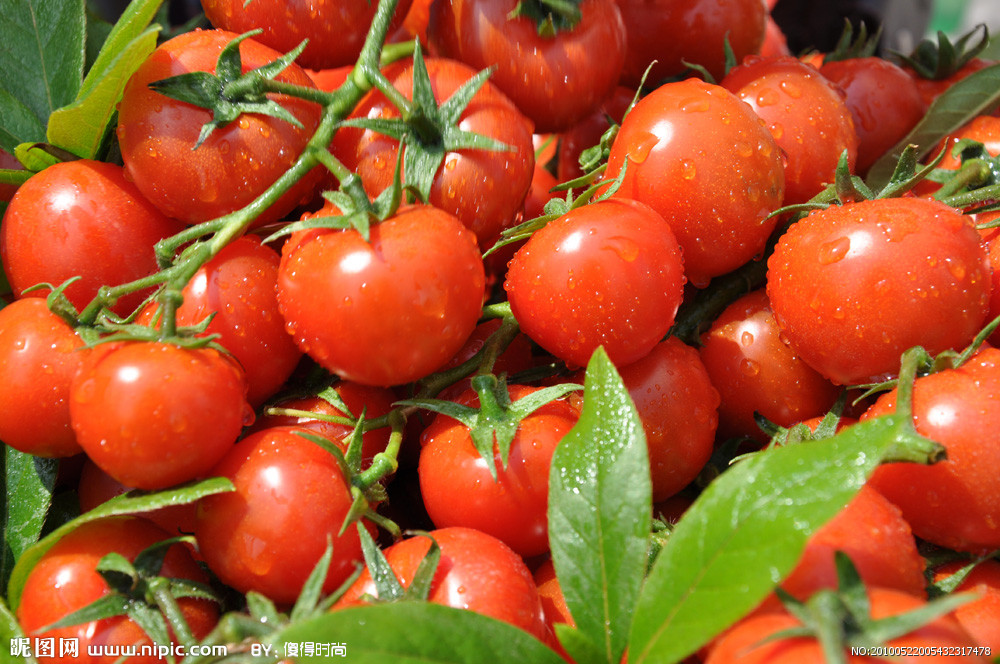 一亩田农业资讯网-上半年西红柿价格低迷偶有