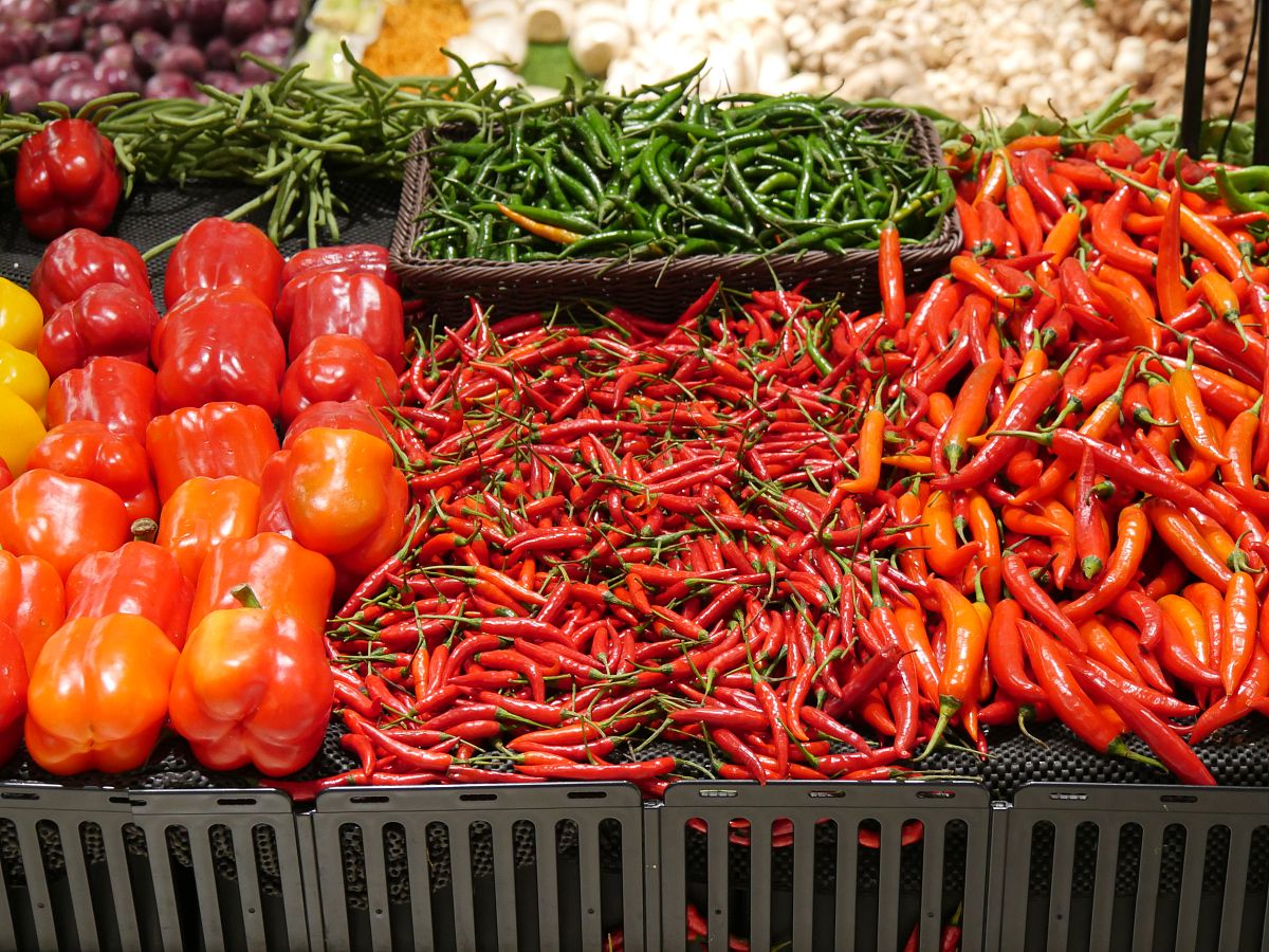 一个传统农贸市场的蔬菜摊位,摆放着多种颜色的鲜辣椒,包括红色、绿色和黄色,辣椒排列整齐,旁边有新鲜香葱和蒜头,摊主正在整理货物,体现生活化场景 市场摊位上的鲜辣椒