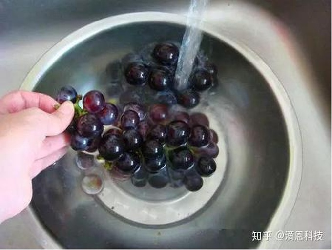 葡萄清洗与保存建议图示