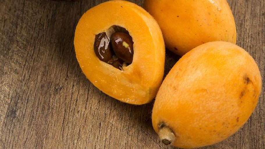 枇杷果实剖面图