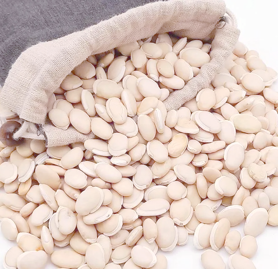 大白芸豆丰收场景