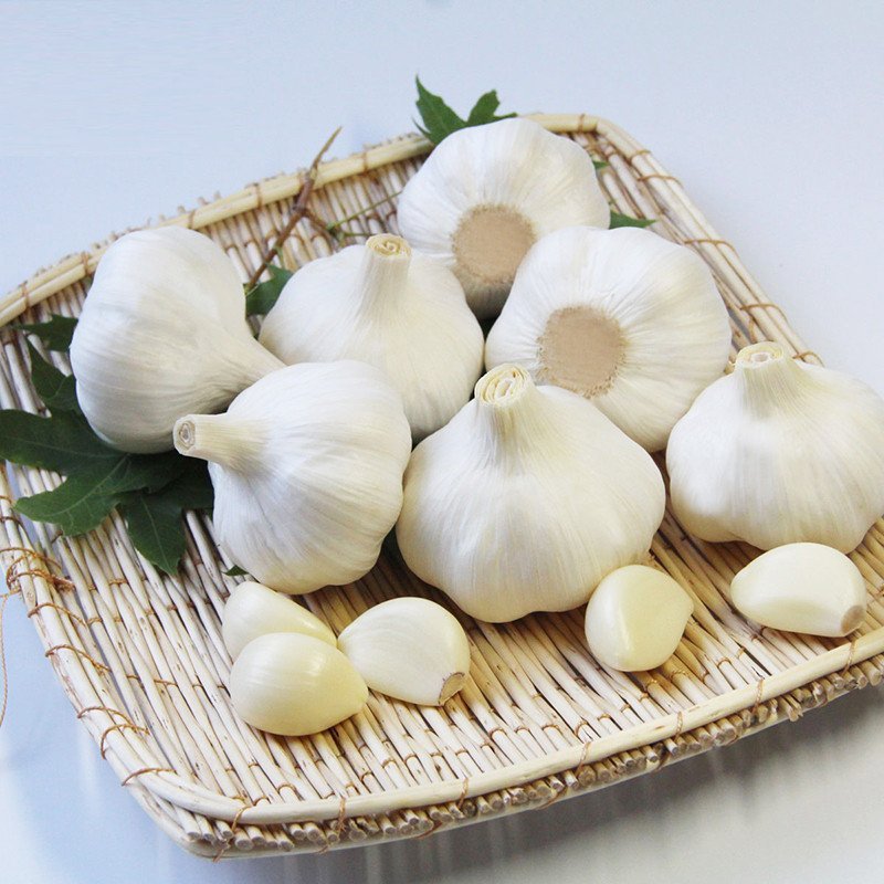 新鲜黄鳝与翠绿蒜苗并列摆放