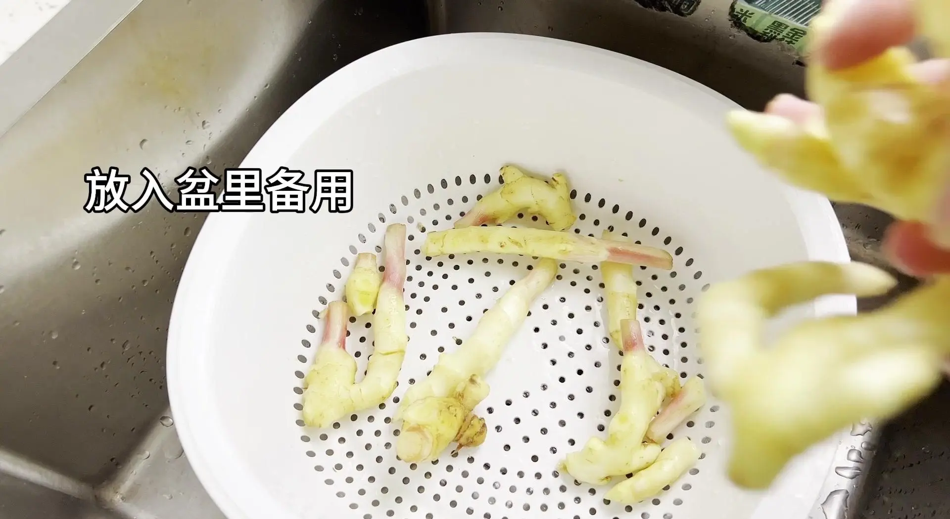 凉拌嫩姜成品图