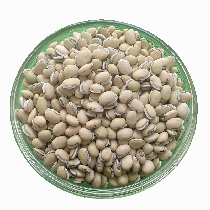 不同种类扁豆营养成分雷达图