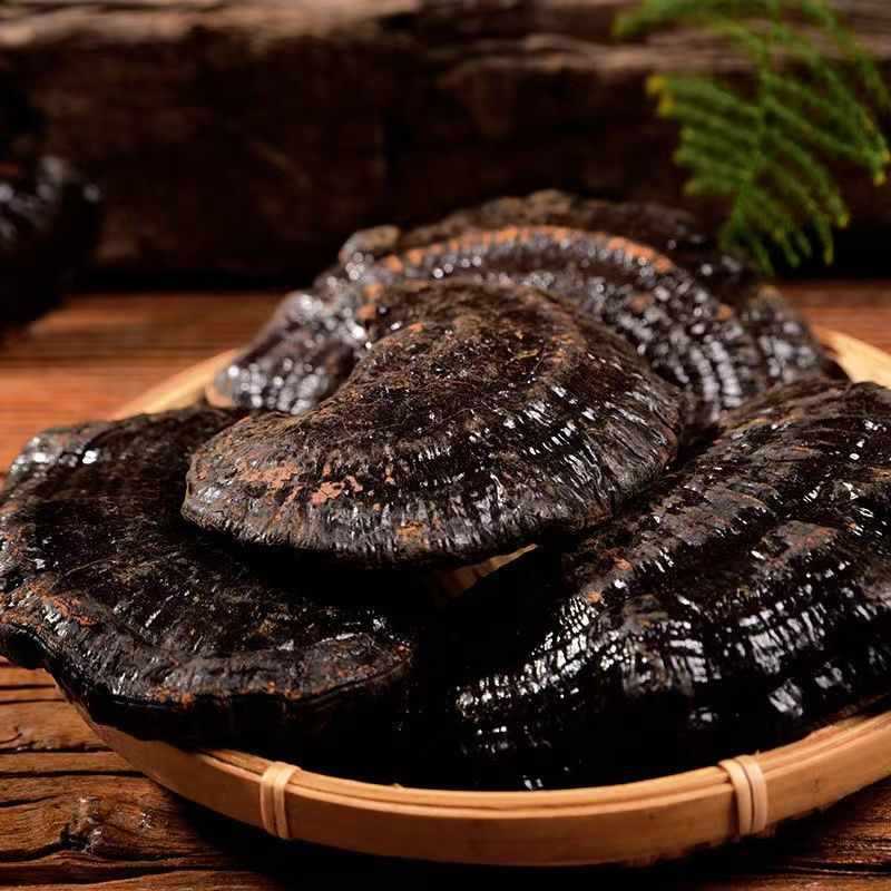 竹灵芝提取物日常应用场景图