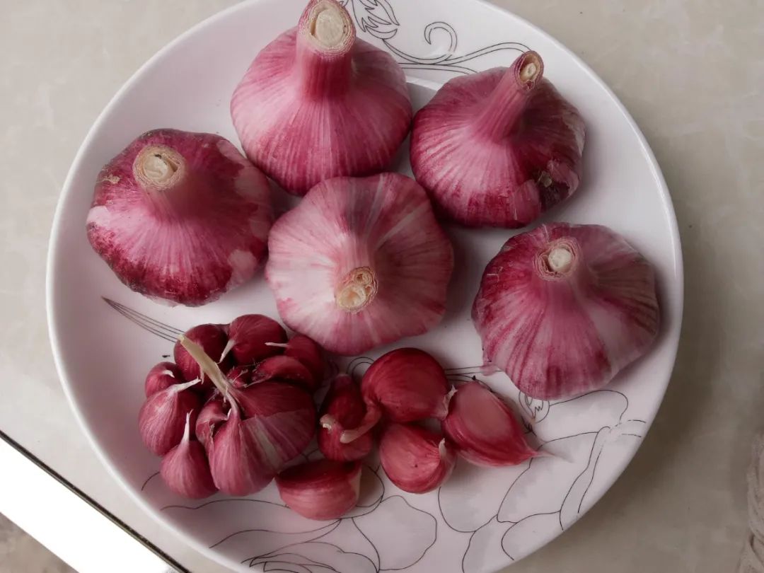 紫皮洋葱和大蒜煮水的食材组合,展示新鲜紫皮洋葱与紫皮蒜的外观与煮水过程 紫皮洋葱和大蒜煮水的食材组合