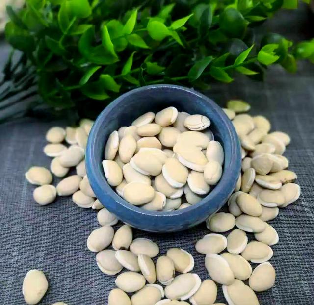 白扁豆药膳成品图：青花瓷碗中盛放温润乳白色白扁豆薏米粥，表面浮着几片新鲜荷叶，粥体细腻无颗粒，散发柔和蒸汽